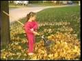 Fall89