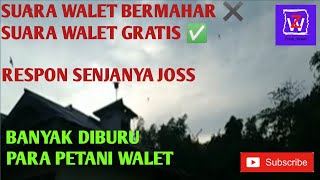 Download lagu SP YG DICARI CARI OLEH PETANI WALET || RESPON SENJA NYA WOW π€©π€©π€© mp3 Download lagu SP YG DICARI CARI OLEH PETANI WALET || RESPON SENJA NYA WOW π€©π€©π€© mp3