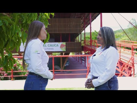  Camino al Suroeste - 10 de abril de 2025