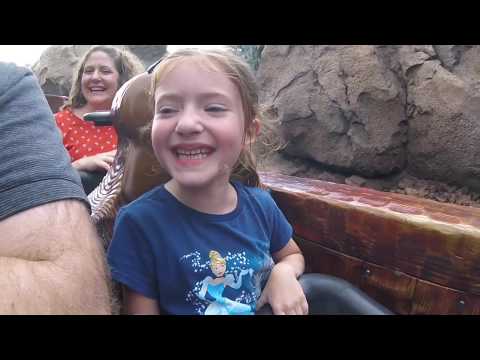 A Day at the Magic Kingdom || Vlog 167