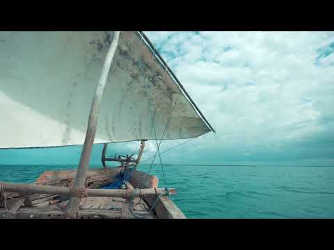 Arozin Sabyh X Merone Music  - Free Spirit V2