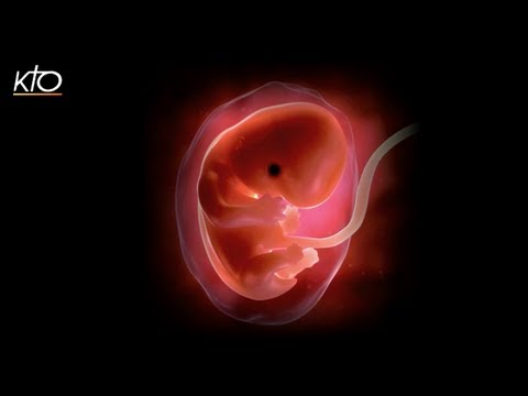 Embryon : la France se mobilise
