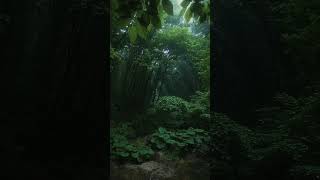 Download lagu video pemandangan alam ig dan wa 4k mp3