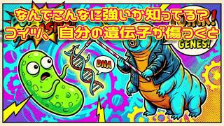2026【ざっくばらんシリーズ】【閲覧注意】宇宙で増殖！？不死身のクマムシ最強伝説！…の巻「VOICEVOX使用」「チルノ式」【雑談茶番劇風林火山】BGMは魔王魂さん等々