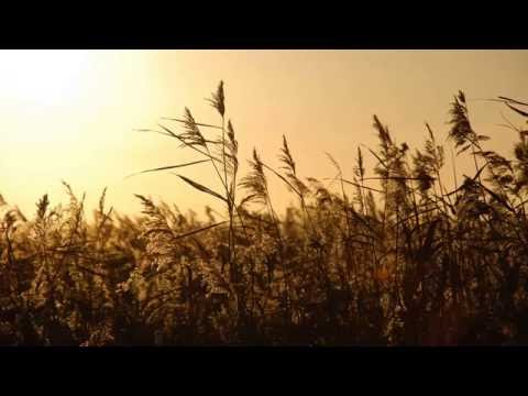 Autumn's Dawn - Until My Heart Corrodes With Rust subtitulado al español