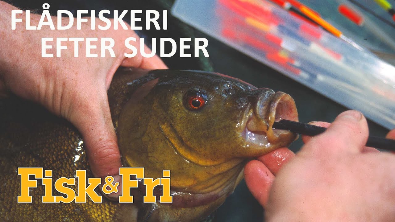 NY VIDEO: FLÅDFISKERI EFTER SUDER