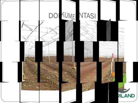 HARGA TERBARU LAHAN KEBUN PRODUKTIF BUAH MURAH BANGET DI JASINGA BOGOR