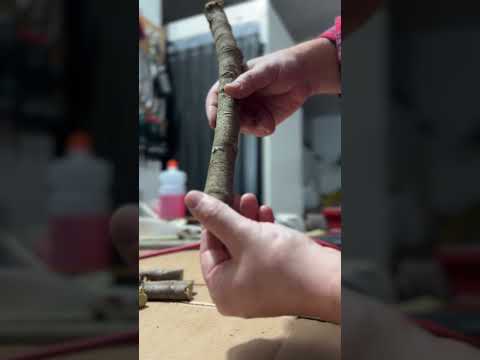 Test forbici Zanon Tiger ZT40