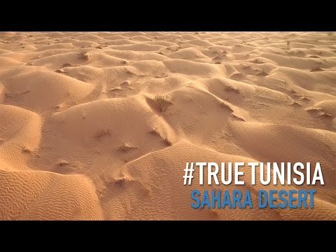 Tunisian Sahara: in the middle of sea of sand... True Tunisia / season 2 (day 7 & 8)