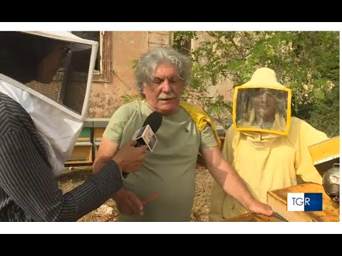 L'Ape nera sicula contro il calo della produzione di miele con Florape a Santa Caterina Gela PA