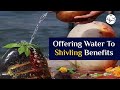 How To Perform Abhishekam For Lingam By Bhavesh Yuj Ji
