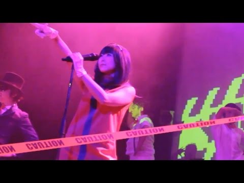 YMCKワンマン・リリースパーティ「ファミリーダンシングナイト」ダイジェスト映像 -YMCK one-man live digest movie-