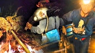 Download lagu Poin banyak!! berburu hama kera/monyet di malam hari //masak makan hewan buruan mp3