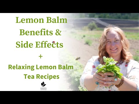 Lemon Balm Benefits and Side Effects + Relaxing Lemon Balm Tea Recipes