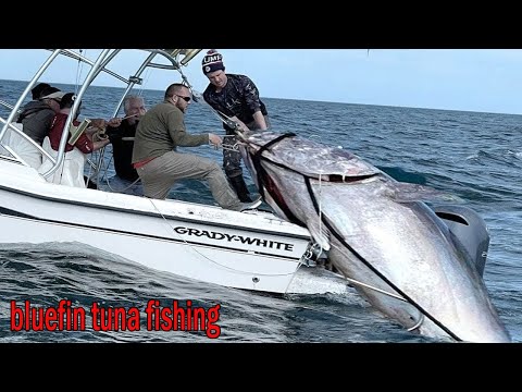 The most satisfying bluefin tuna fishing skills - Amazing catching sea fishing videos