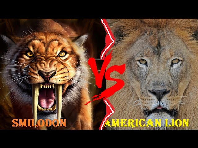 Video Aussprache von smilodon in Englisch