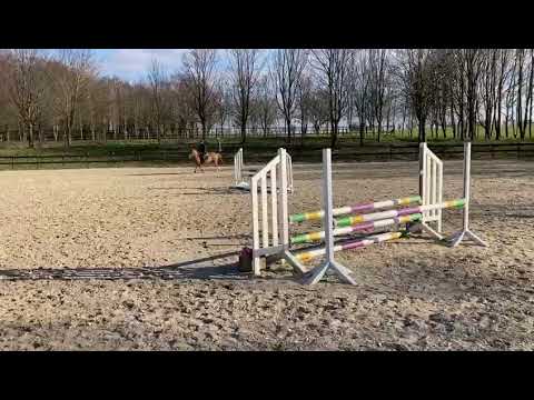 Mini Me Z: MACHNO CARWYN x ZANDOR Z