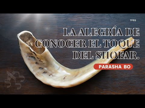 ¿Qué son los Pikudin? La Intimidad con lo Divino según el Zohar