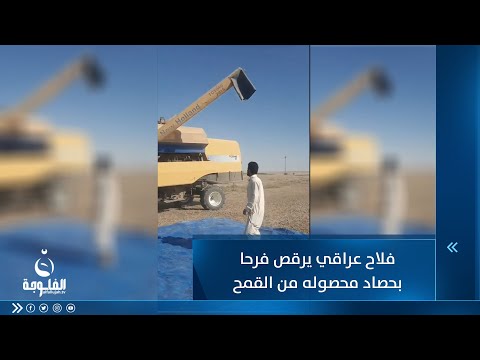 شاهد بالفيديو.. فلاح عراقي يرقص فرحا بحصاد محصوله من القمح