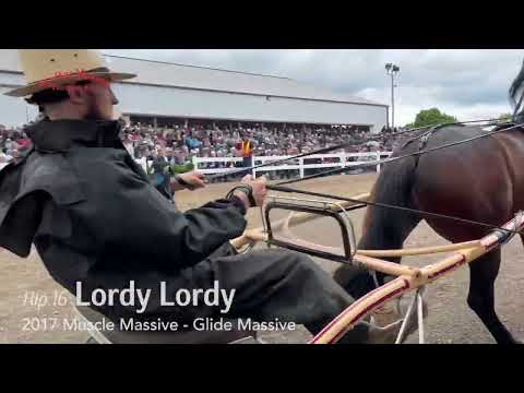 Hip 16 Lordy Lordy, $1.375 Million | 2022 Mid Ohio Memorial Trotting Sale