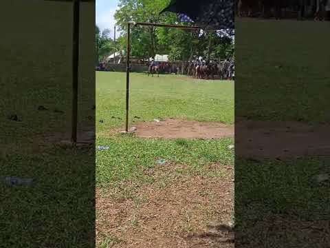 Vaqueros en yalicoc raxruha alta verapaz