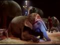 Circus Knie TV Spot 2008