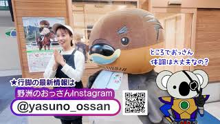 2026/1/26放送・知ったかぶりカイツブリにゅーす