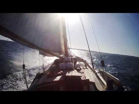 Dutch barge under sail (Lemsteraak) at sea. South West, UK