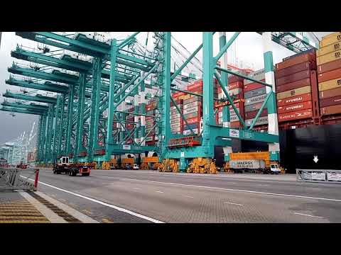 Msc Gulsun cargo operation at malaysia