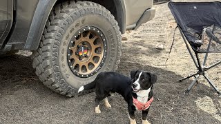 Mojave Trail Recap, NEW TIRES/DAMAGE And Best Truck Wash Kit!!!