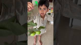 First fruits video