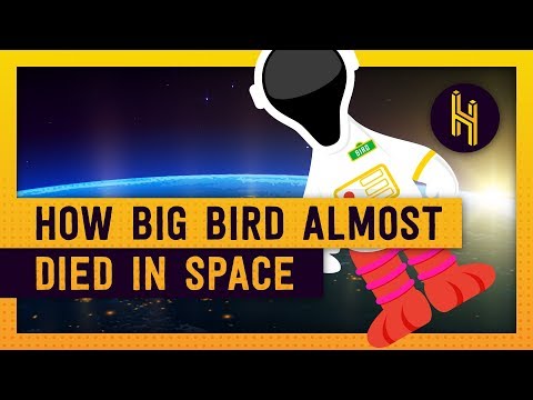 Why NASA Tried to Launch Big Bird to Space