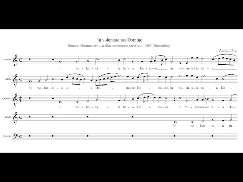 Anon.: In voluntate tua Domine a 5
