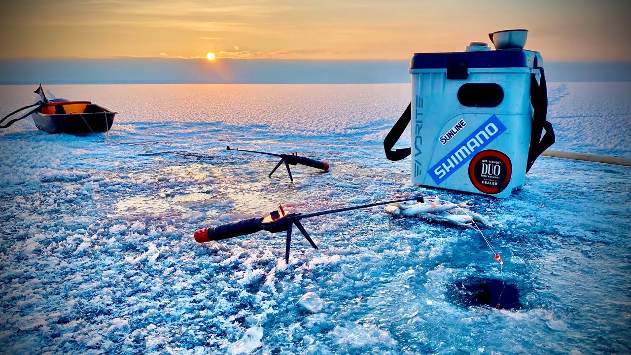 Открытие по ПЛОТВЕ на водохранилище 2021!