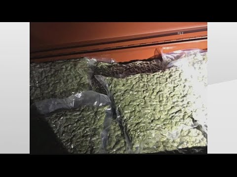 'Operation Safe Summer' leads to arrests in Henry County