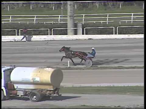 Trotto 01/03/2015 - 2° prova di riqualifica