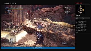 [男性]MHW I狩猟笛黒ティガひたすら討伐コメント返せます