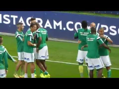 Jérémy Clément ● Fabien Lemoine ● Mevlüt Erding ● PSG vs A.S SAINT-ETIENNE 2014