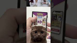 Será que saio ganhando? #95 Pokémon TCG #pokemontcg #pokemon #pokemoncommunity #unboxing