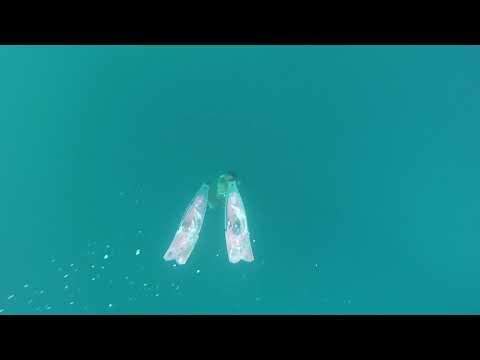 Un tuffo nel blu 🌊💙