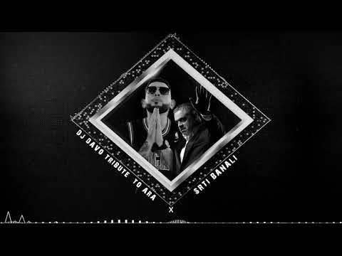 Dj Davo & Ara Martirosyan - “Srti Banali”