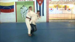 preview picture of video 'Judo Techniques'