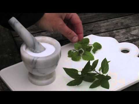 Nässpray egen odlad mot förkylning -trädgårdsapoteket och örter du odlar- egen nässpray