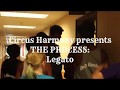 THE PROCESS: Legato [pt i]