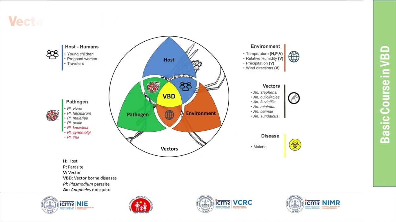 11_Agent Host Vector Environment Interactions
