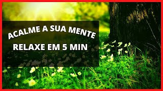 Som Relaxante Para Dormir Com Som De Piano ACALME A SUA MENTE DURMA EM 5 MINUTOS