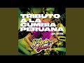 Silbando / Don José (En Vivo)
