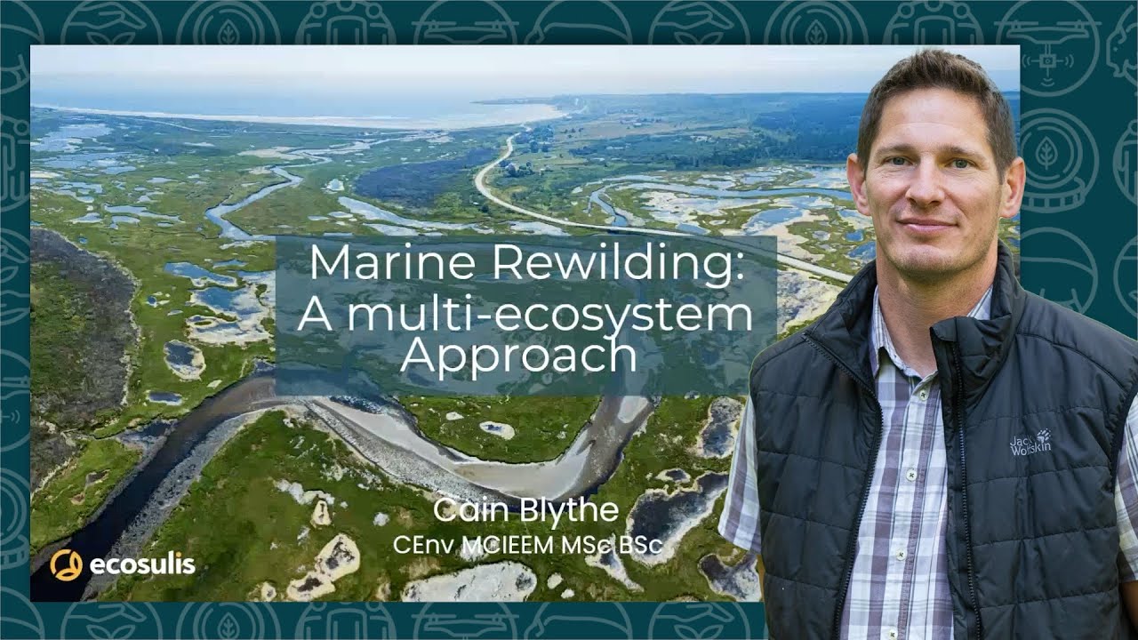 How Can We Rewild Our Coastlines?