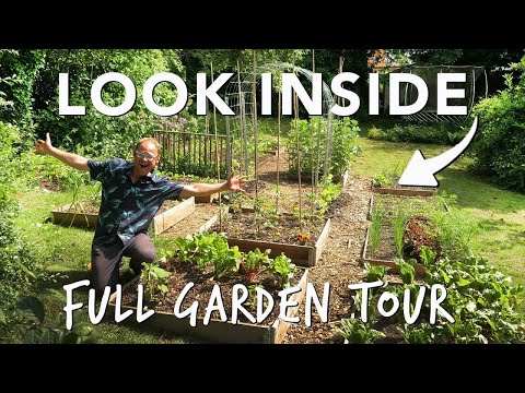 Summer Vegetable Garden: The Full Tour