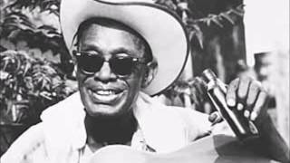 Lightnin&#39; Hopkins, I don&#39;t want to do nothing to you